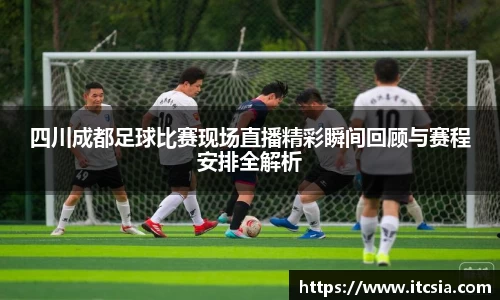 四川成都足球比赛现场直播精彩瞬间回顾与赛程安排全解析